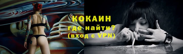 ешки Арсеньев